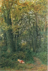 Perdido na floresta